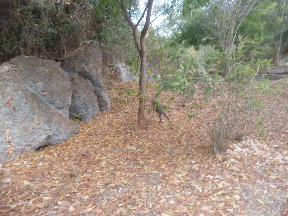 Gosana Eco Nature