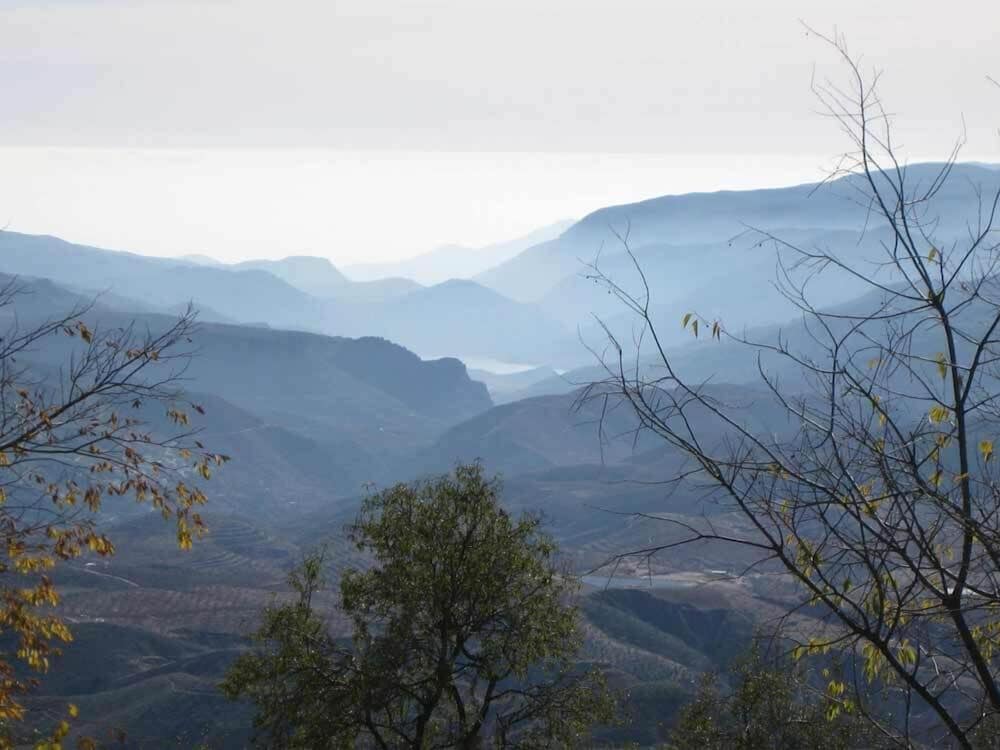 Alojamiento Rural Viña y Rosales
