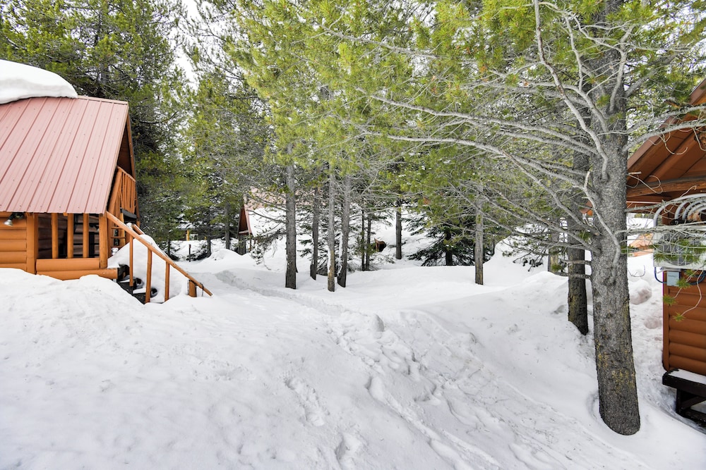 Island Park Cabin Getaway < 24 Mi to Yellowstone! view 4