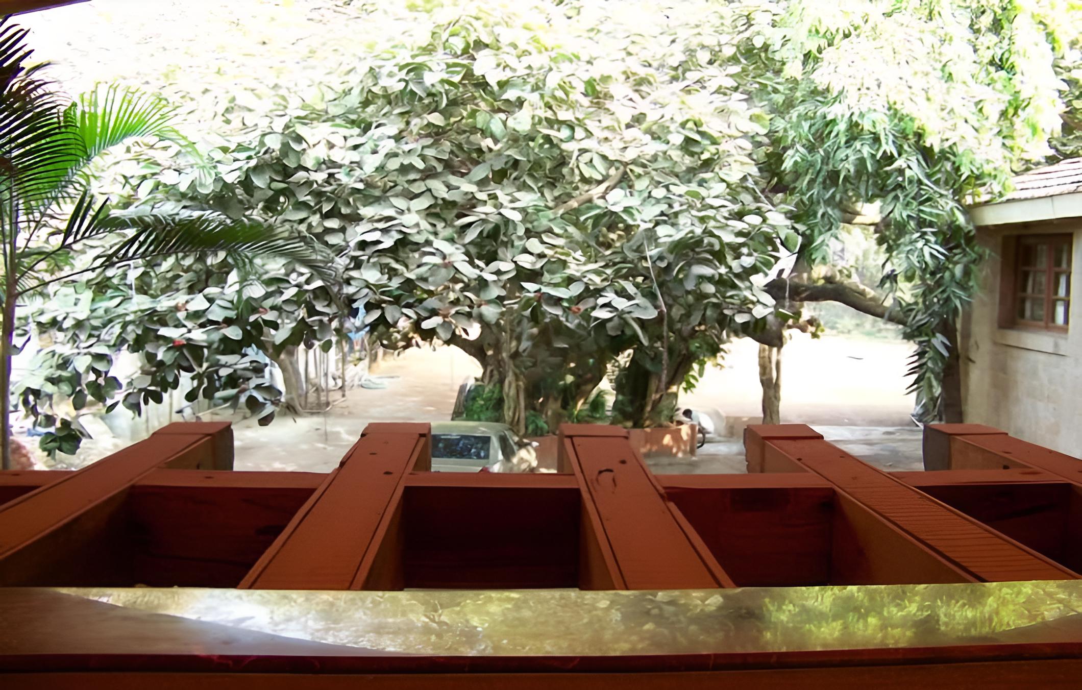 Hotel Beach Garden
