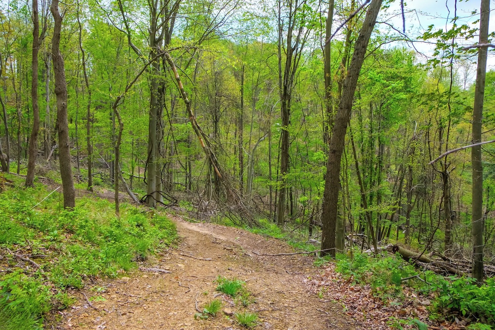 Cabin w/ Trail Access to Mohican River