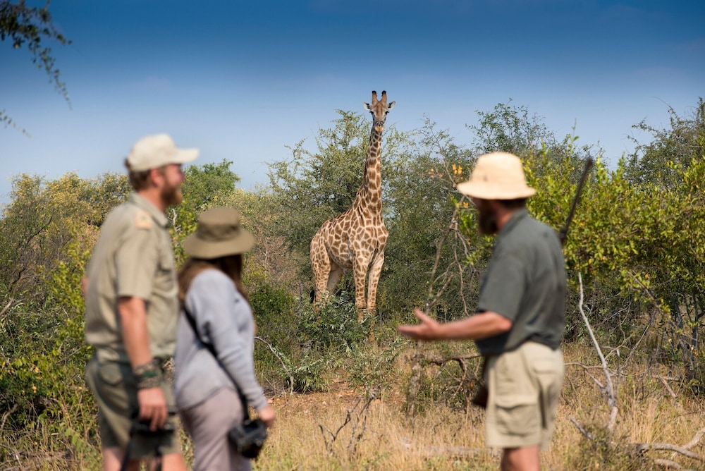 Makumu Private Game Lodge
