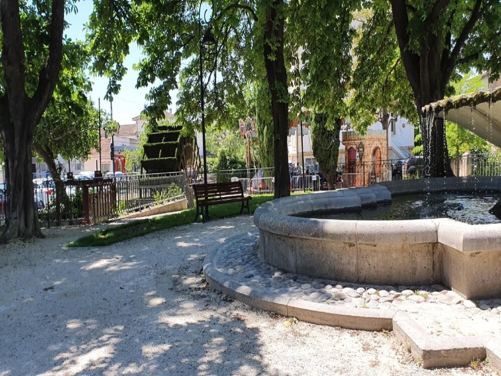 Photo 21