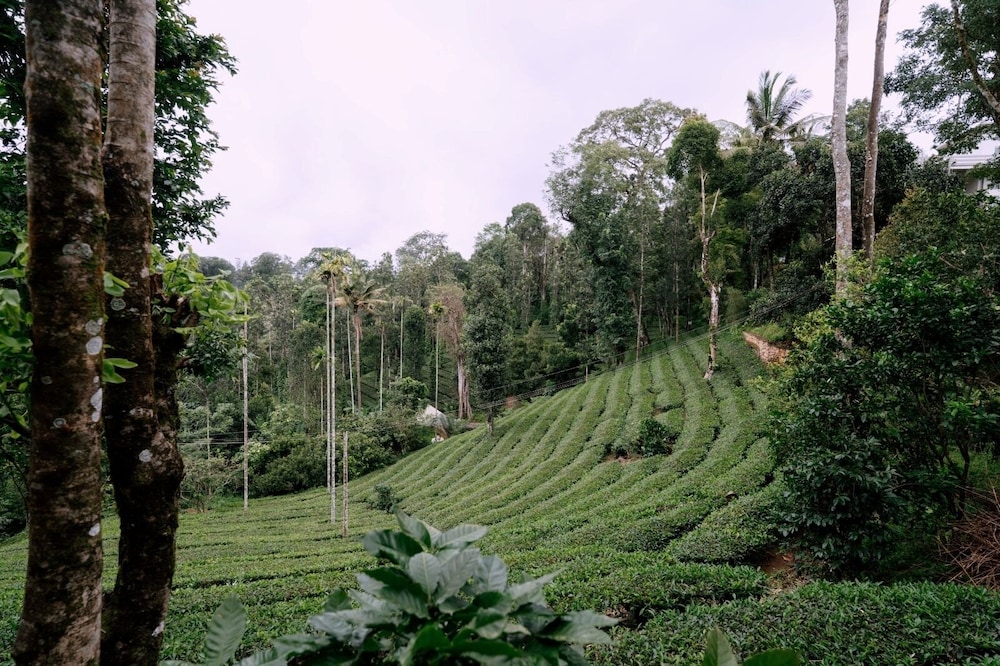 The Feel Munnar Resort