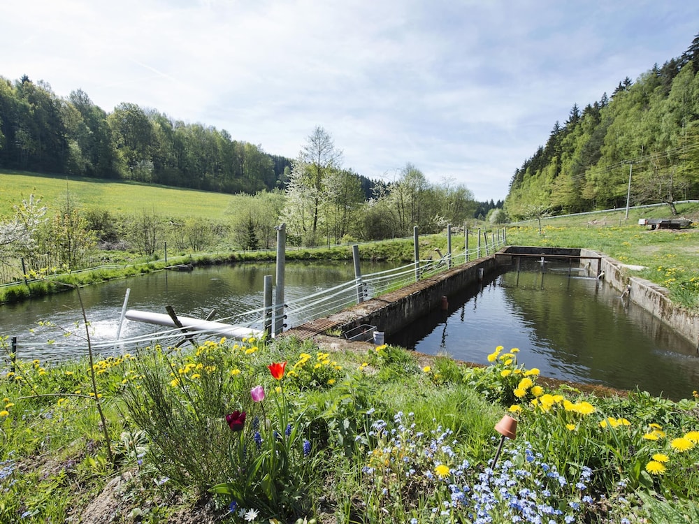 Alluring Apartment in Schonsee in the Forest
