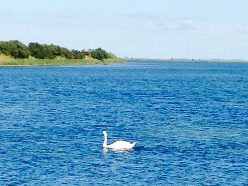 Askø Bed & Breakfast