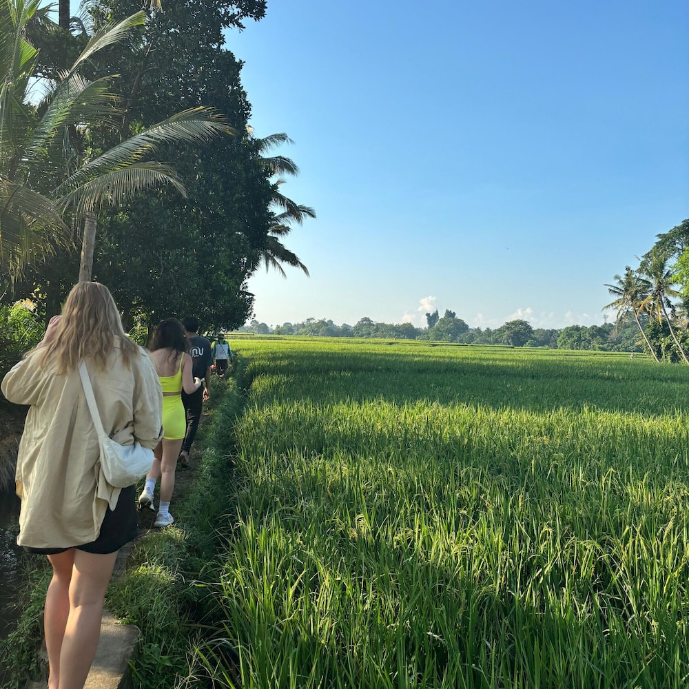 Nunu Bali Eco Friendly Retreat
