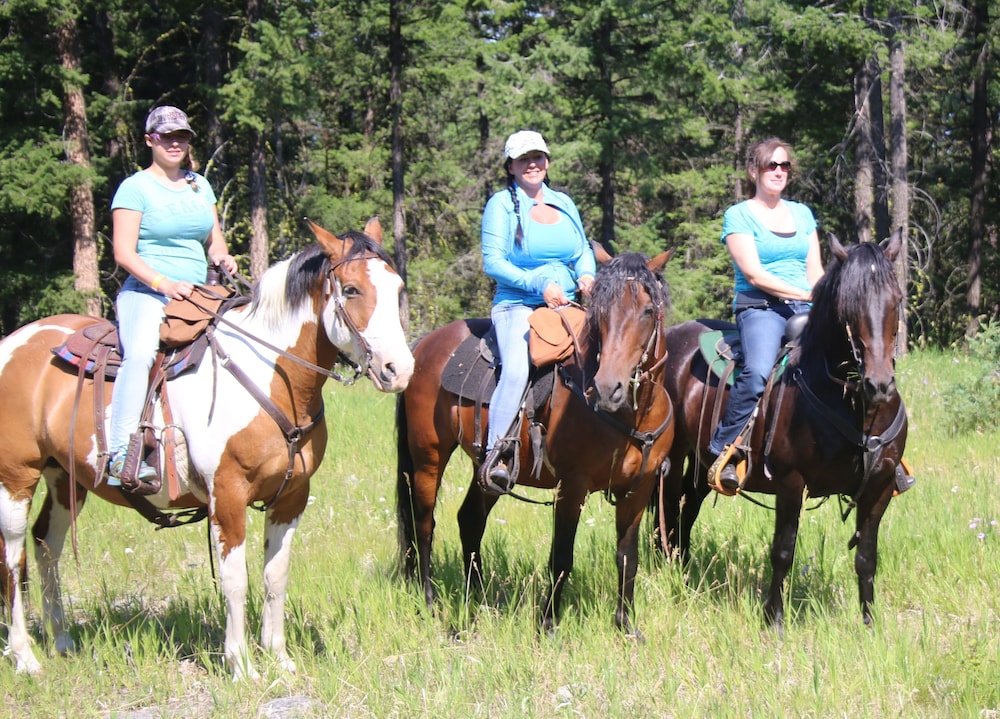YD Guest Ranch
