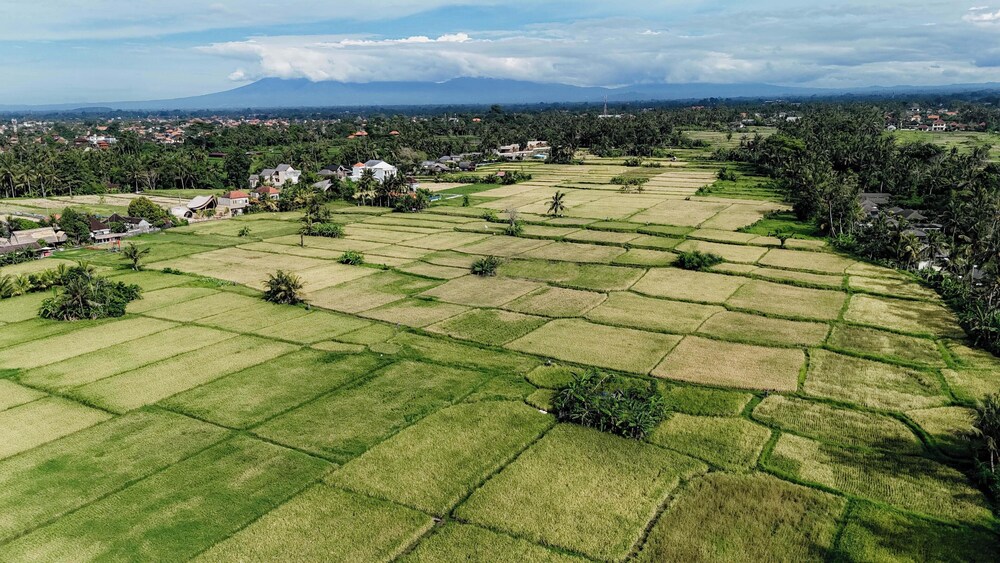 Weda Villas
