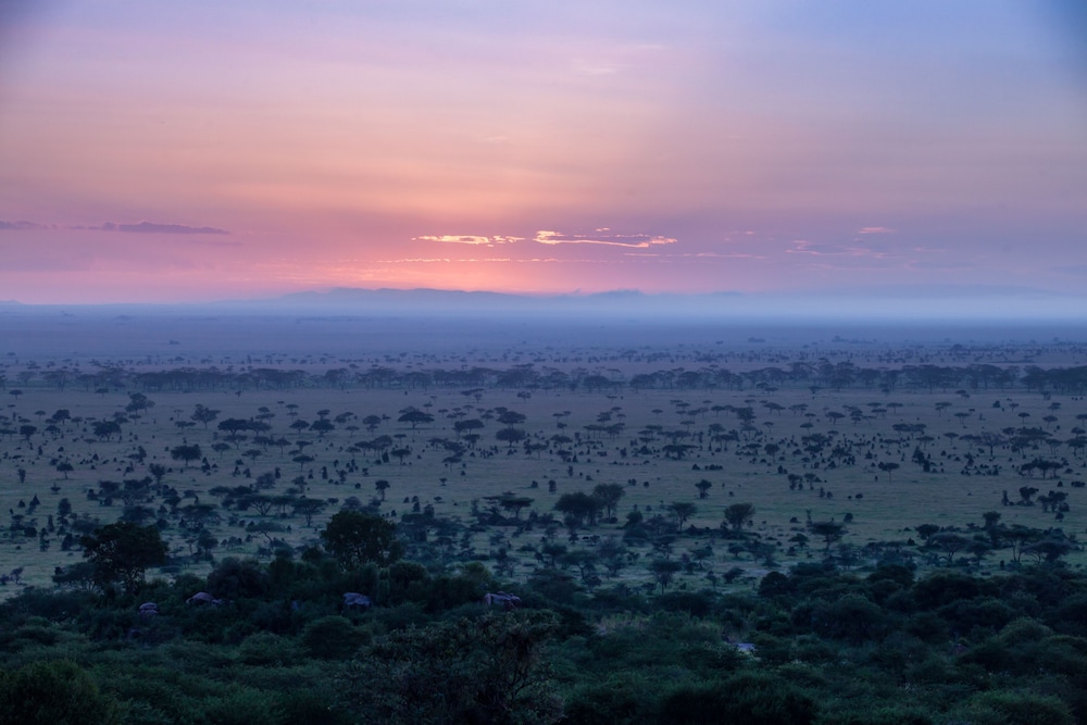 Elewana Serengeti Pioneer Camp