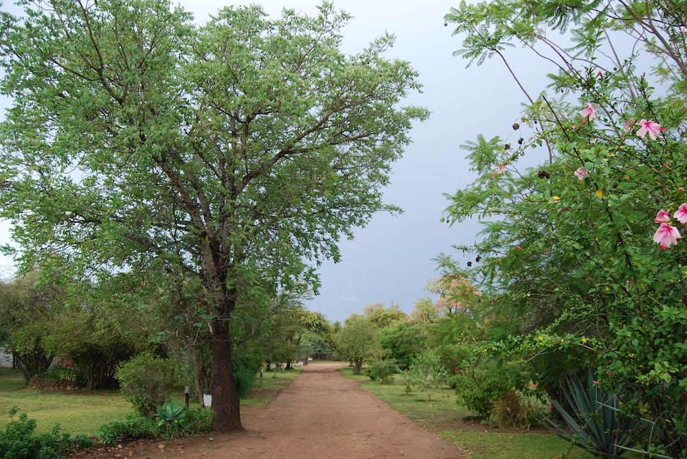 Photo 11