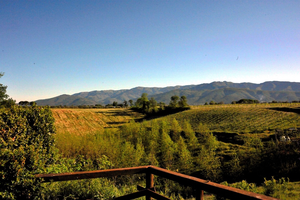 Il Pino Bioagricoltura