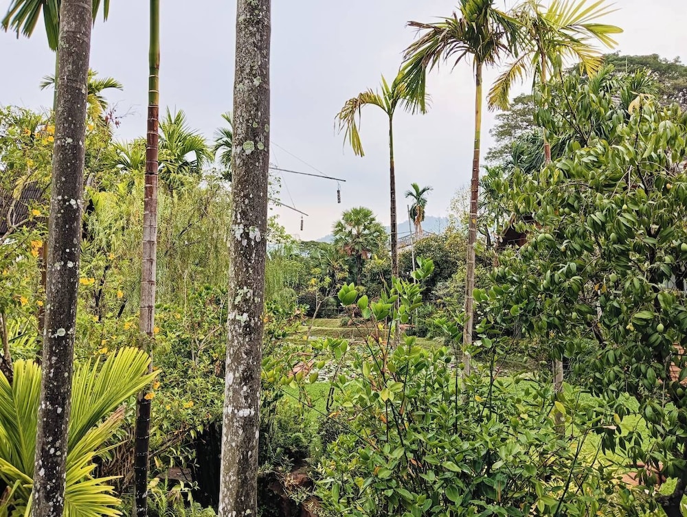 O yua Resort