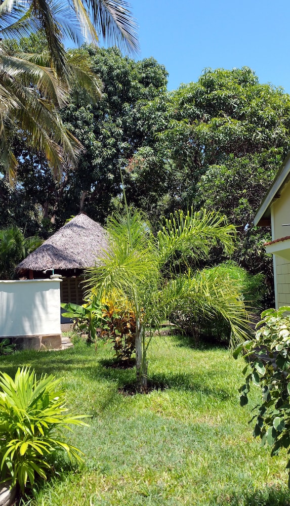 Jamboland-Diani