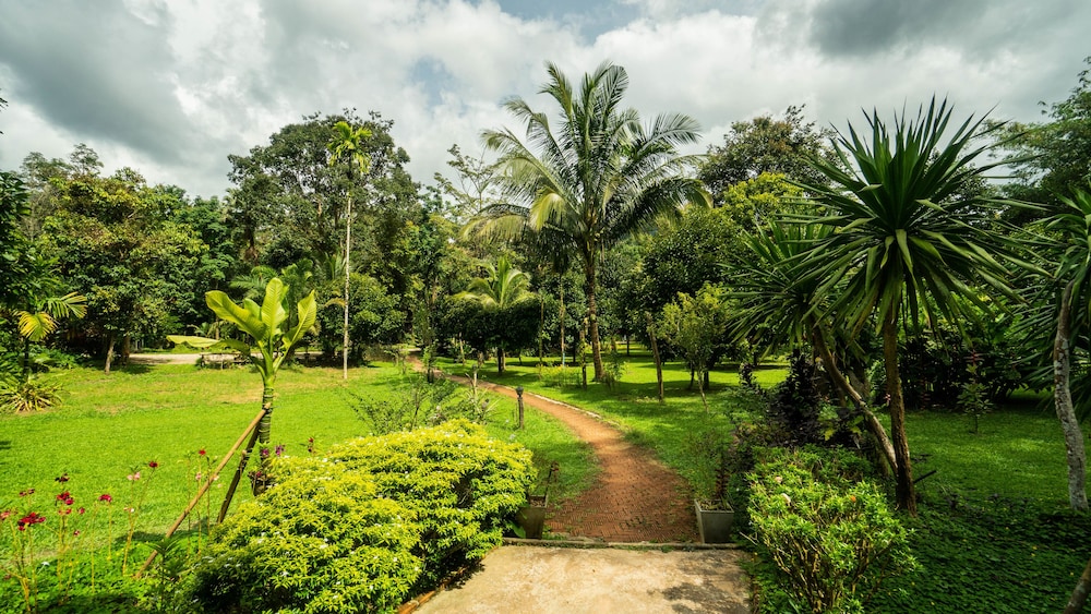 Baan Khao Sok Resort