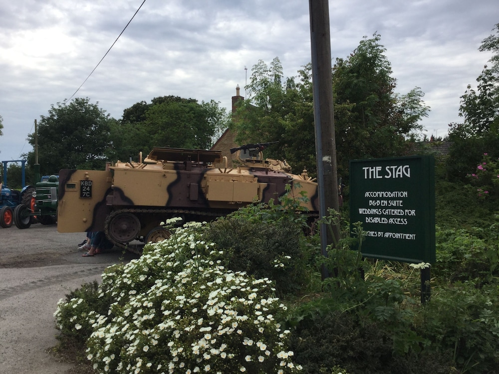 The Stag