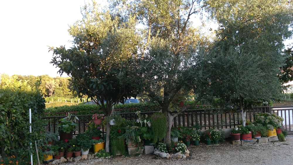 Photo 33