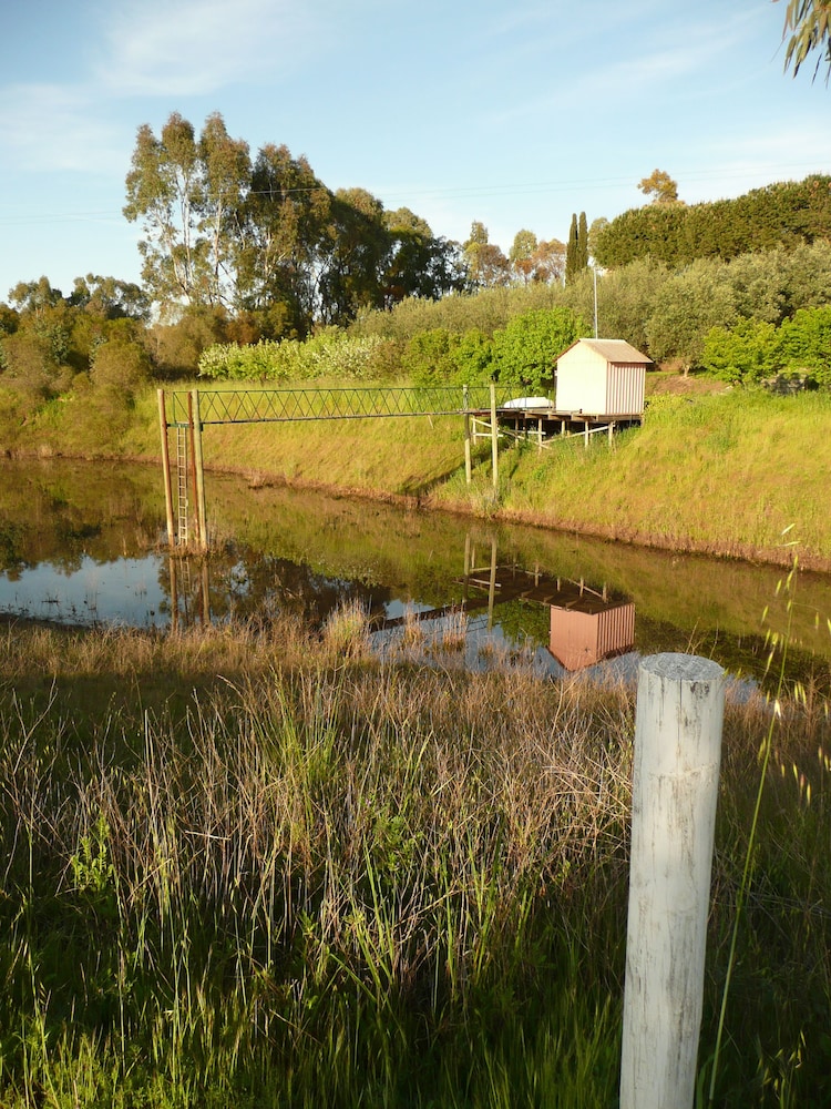 Patly Hill Farm