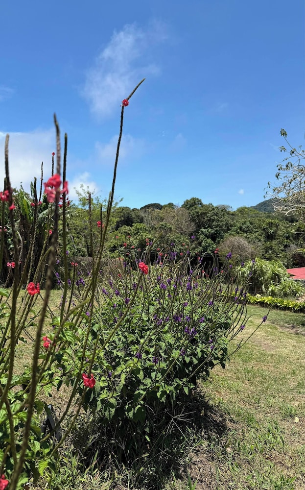 Calma Loft Monteverde Rainforest - Epic Views - Santa Elena