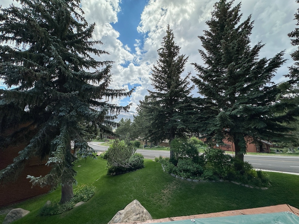 Photo 33