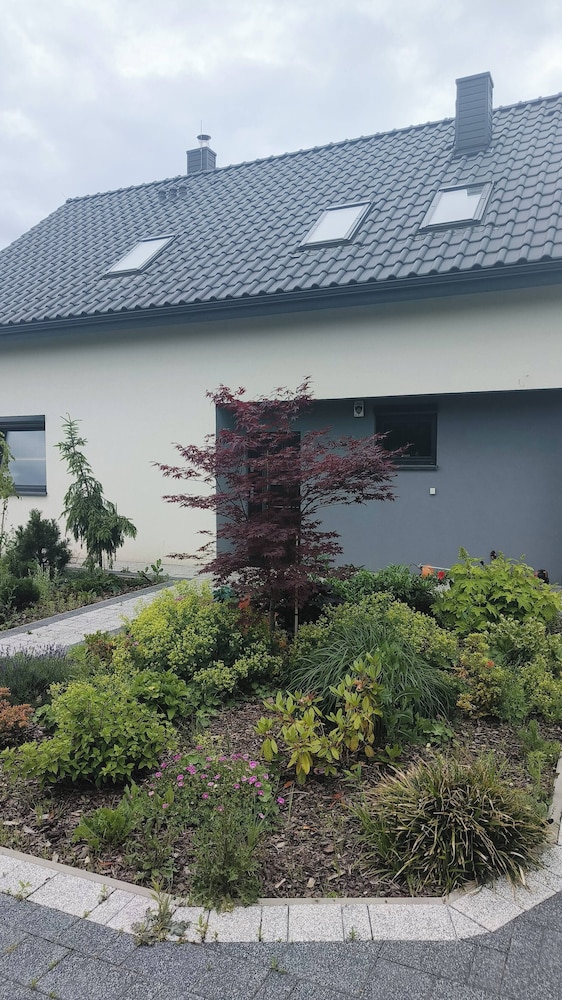 Luxurious Villa With Pool Near Energylandiai