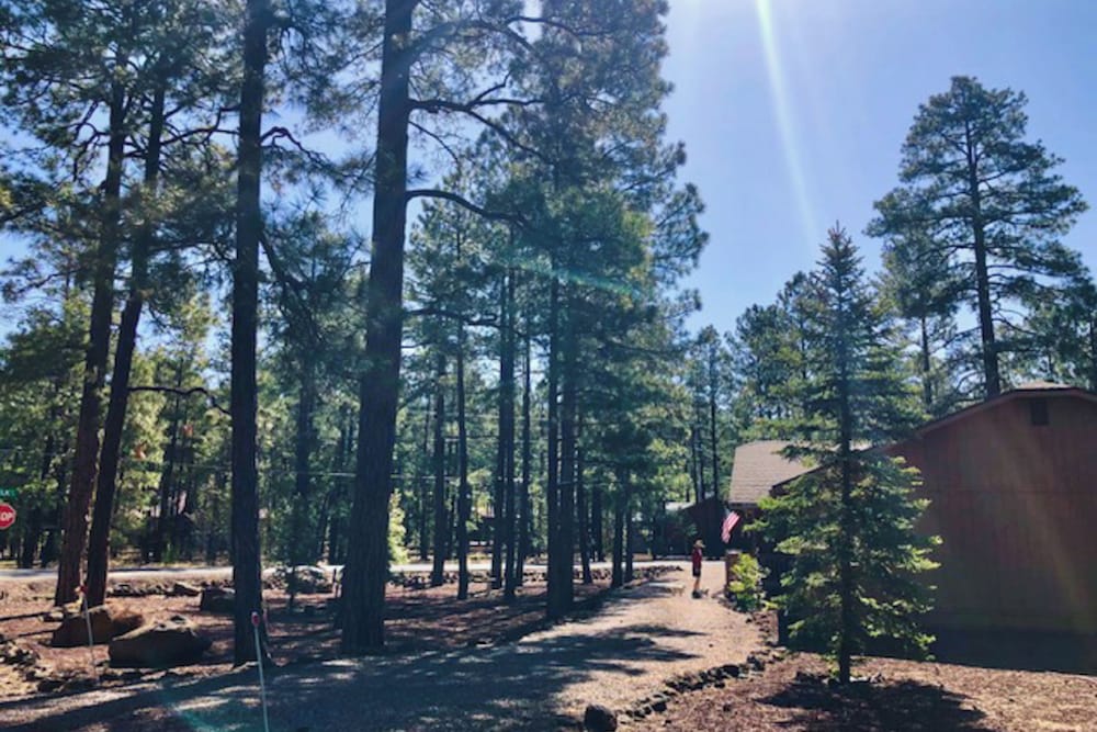 3BR Home Close to Golf, Trails, Lake, & Ski Resort