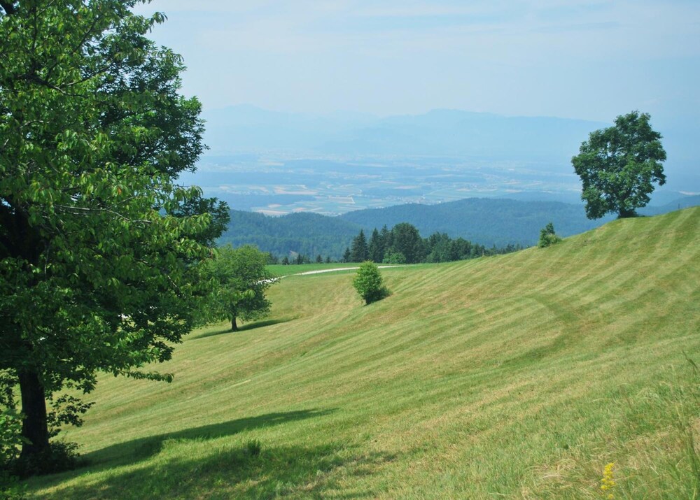 Photo 44