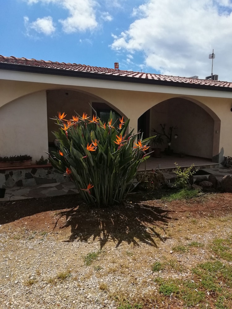 Photo 28