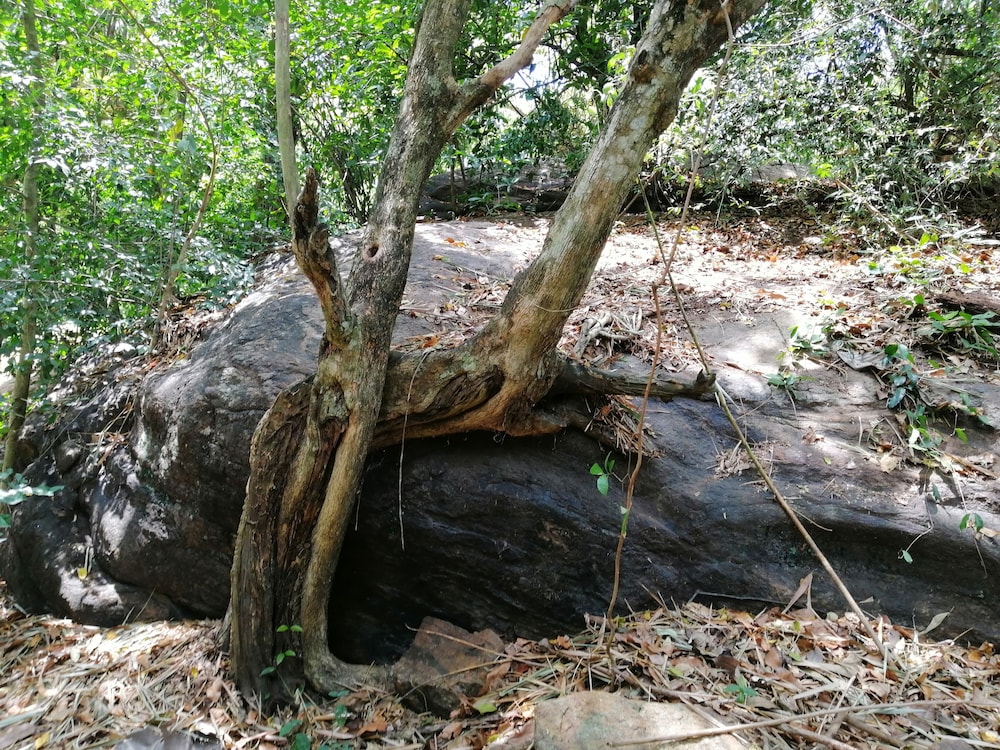 Photo 12