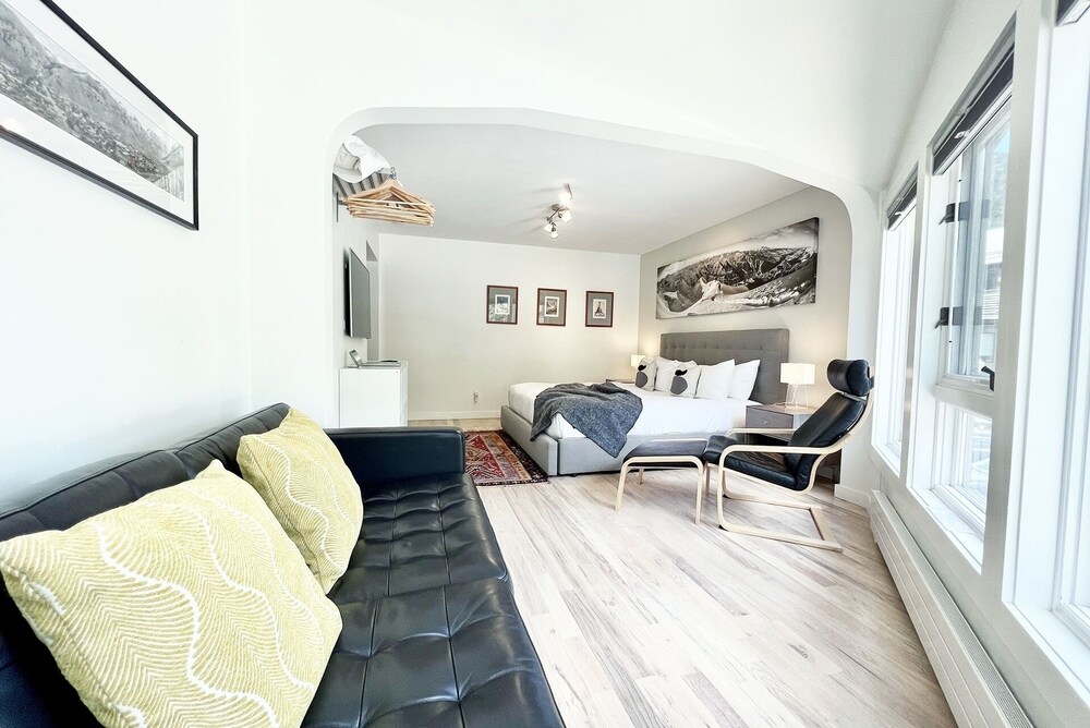 Telluride Ski Resort CO - Viking Lodge Condos