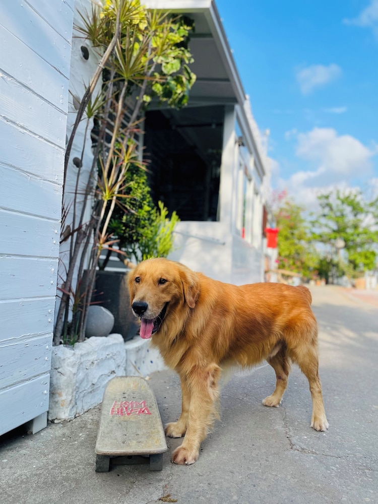 LanJen Villa B&B