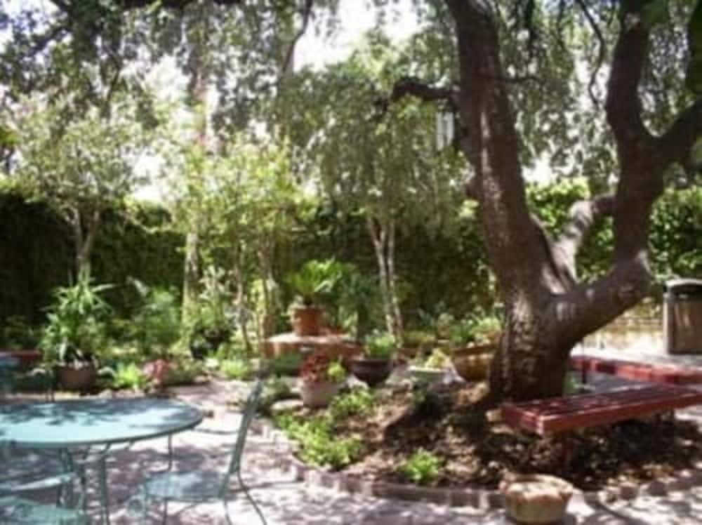Laredo Vacations - Hotel Ava - Property Image 6