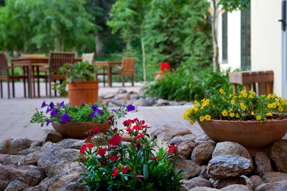 The Edelweiss Lodge and Spa