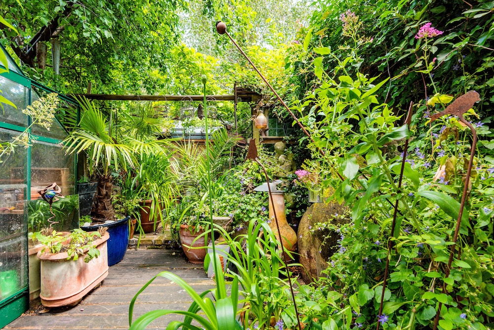 garden