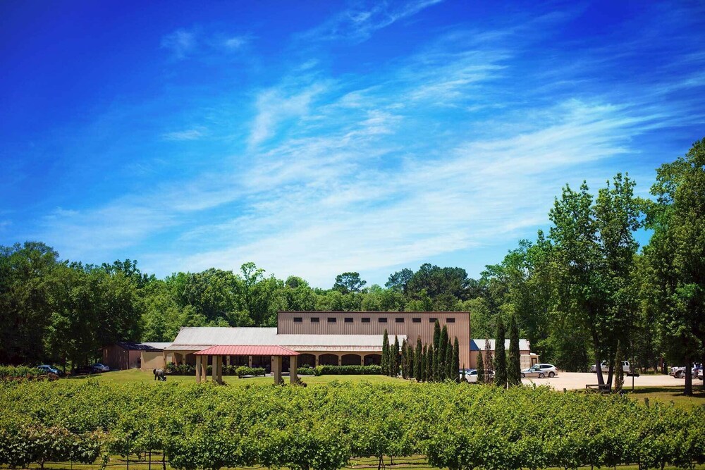Blue Jay Cottage' - Pittsburg Studio on Winery! - Property Image 2