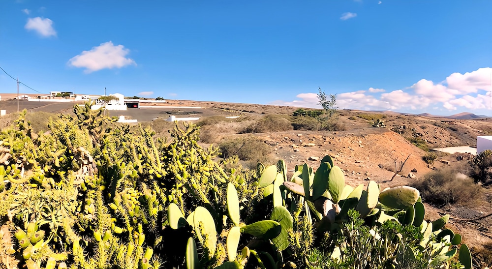 Apartment Alegranza in the Beautiful Village of Mozaga, Lanzarote