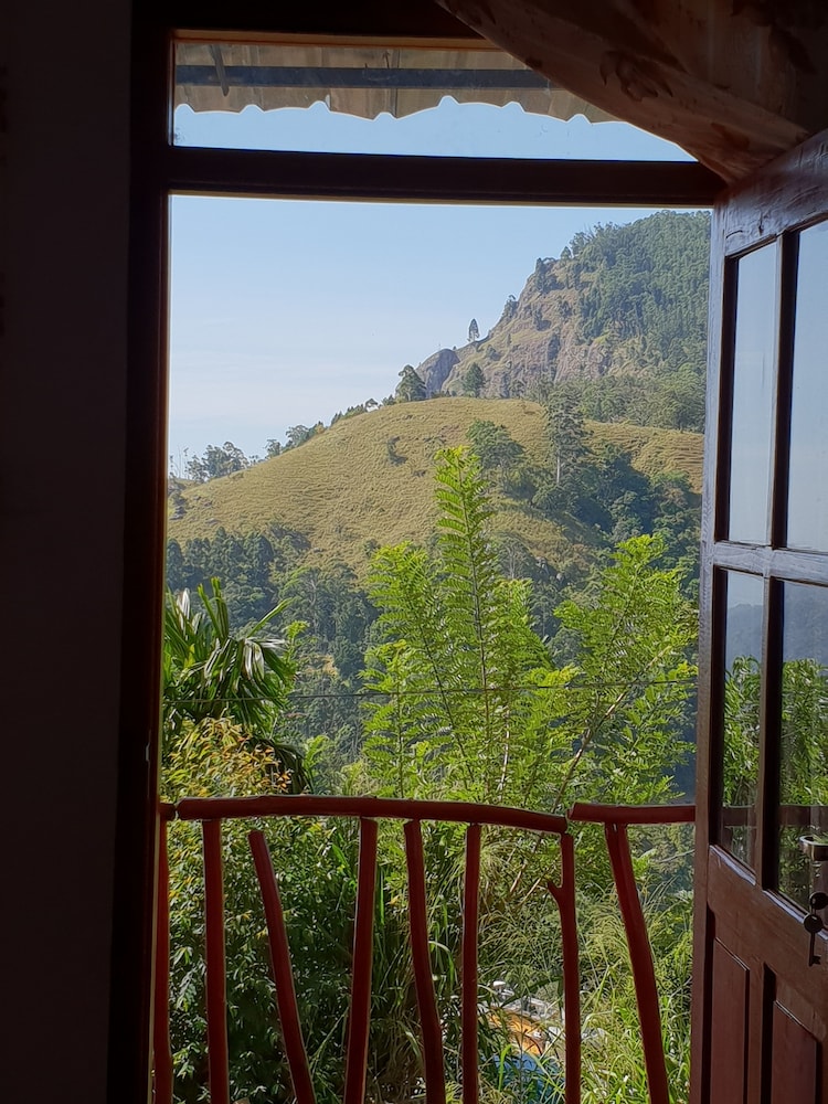 Adannz view