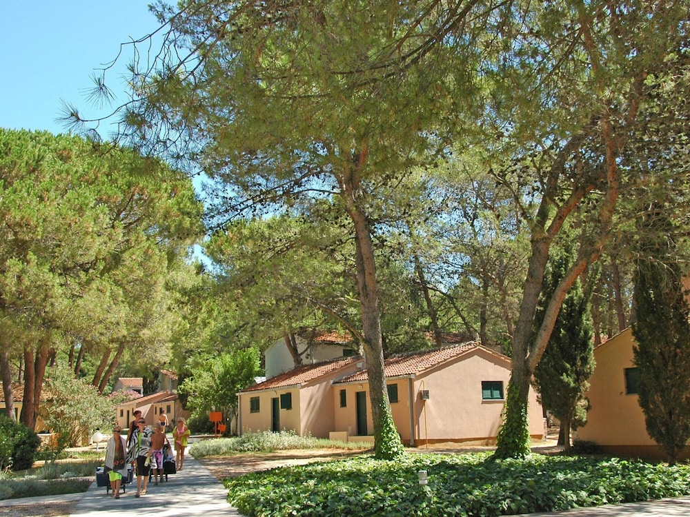 Apartments in Zaton With Pool