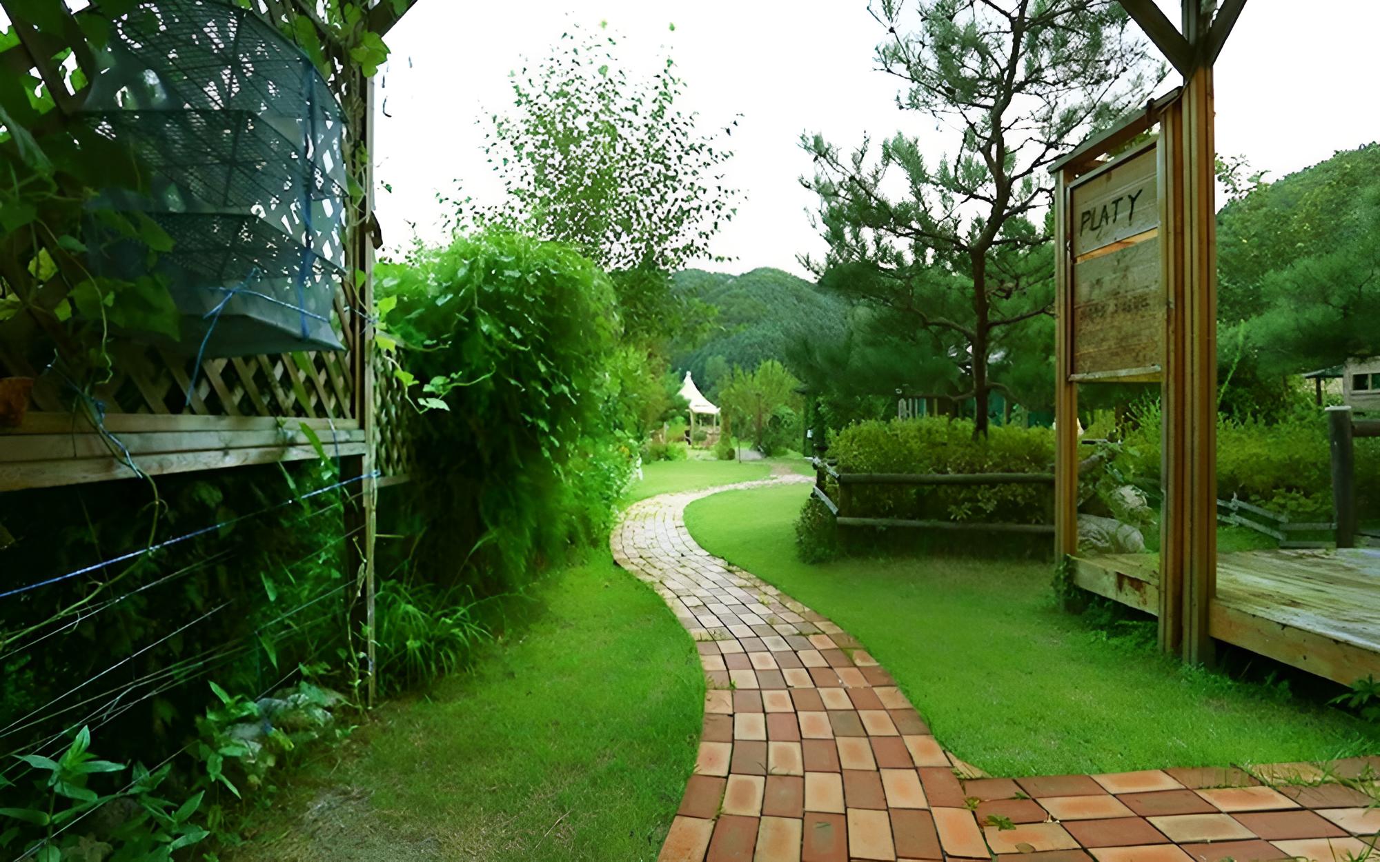 Photo 25