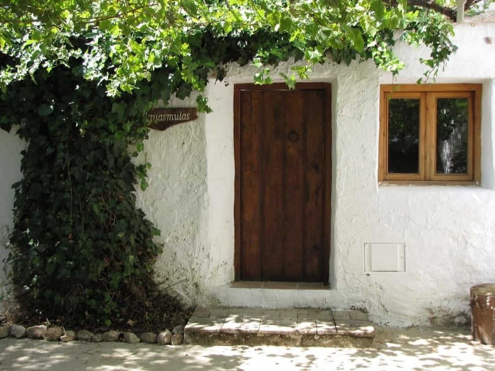 Photo 49