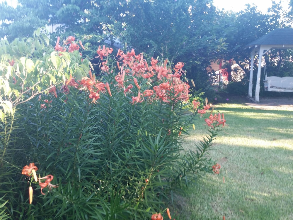 Spahn House Bed and Breakfast - Property Image 8