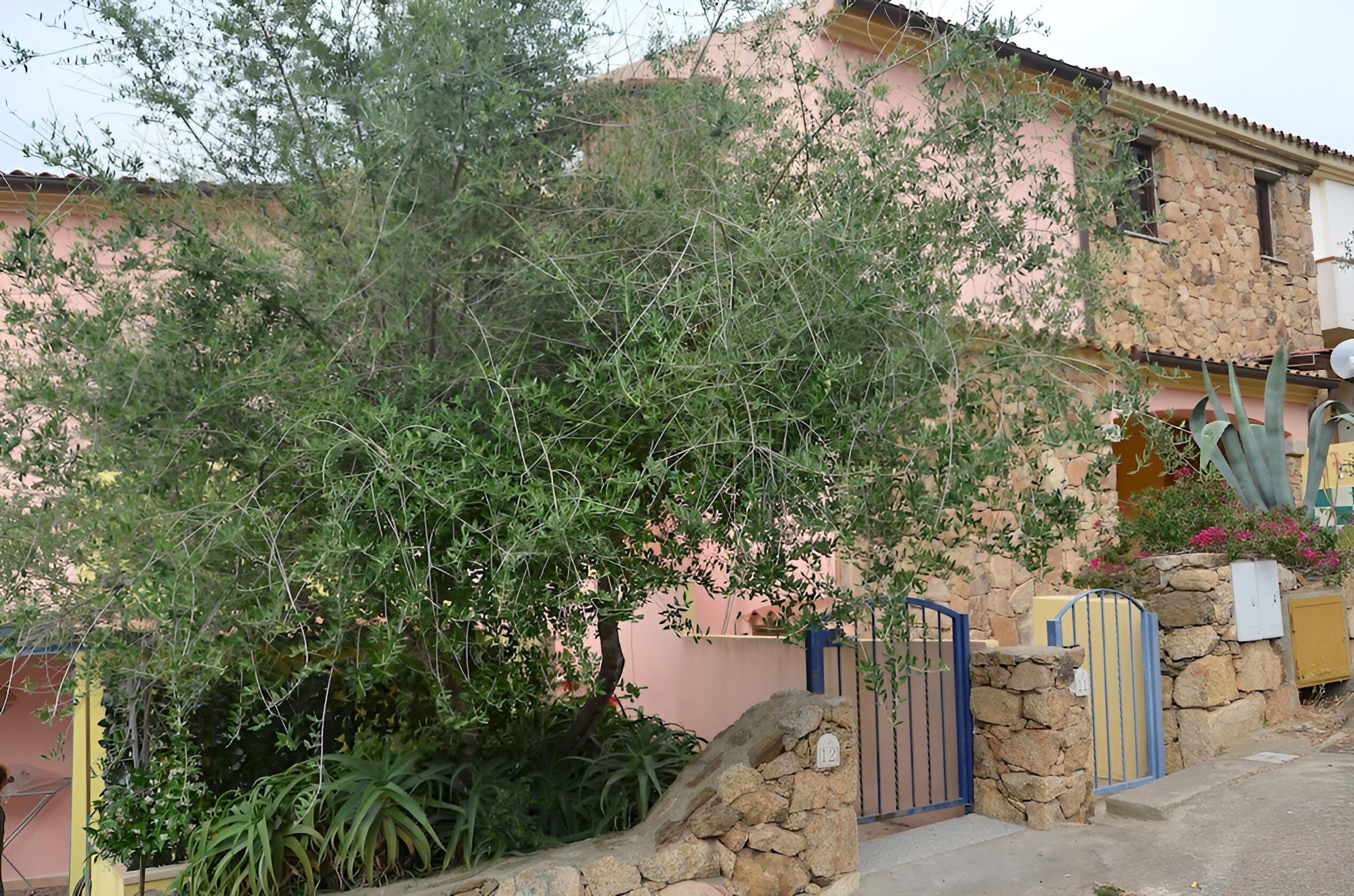 Photo 22