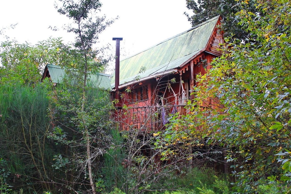 Sycamore Avenue Treehouses
