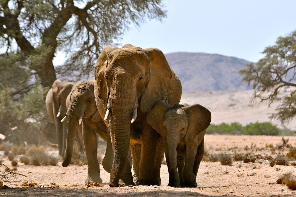 Photo 8