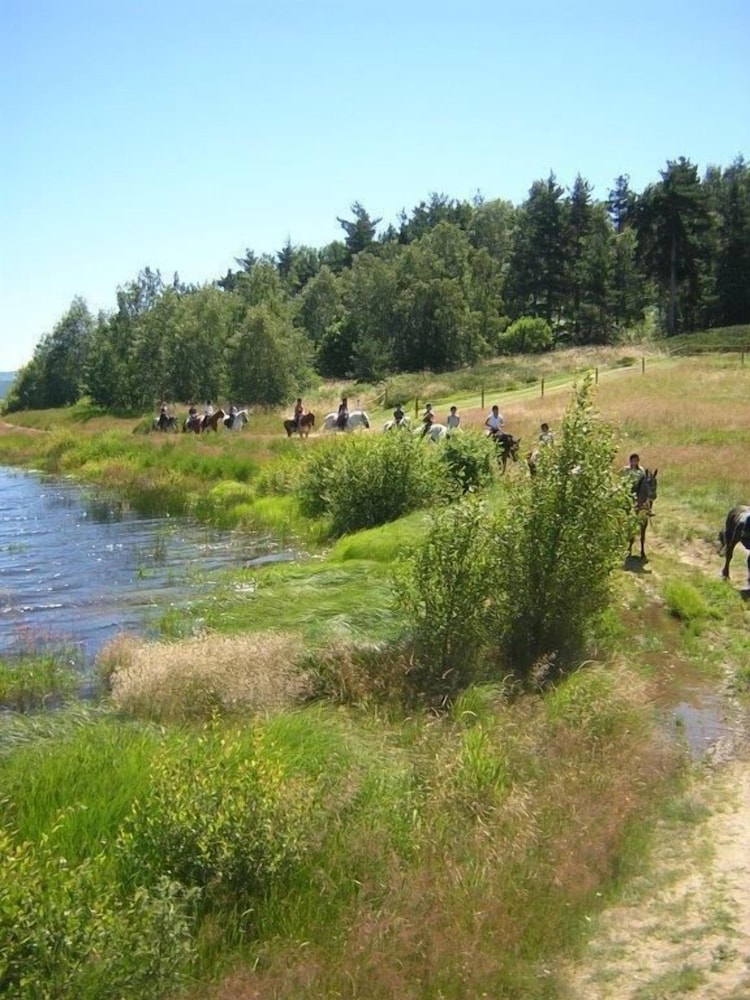 Photo 26