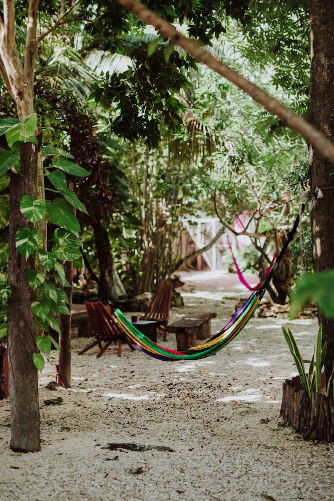 La Negrita Hotel - Adults Only