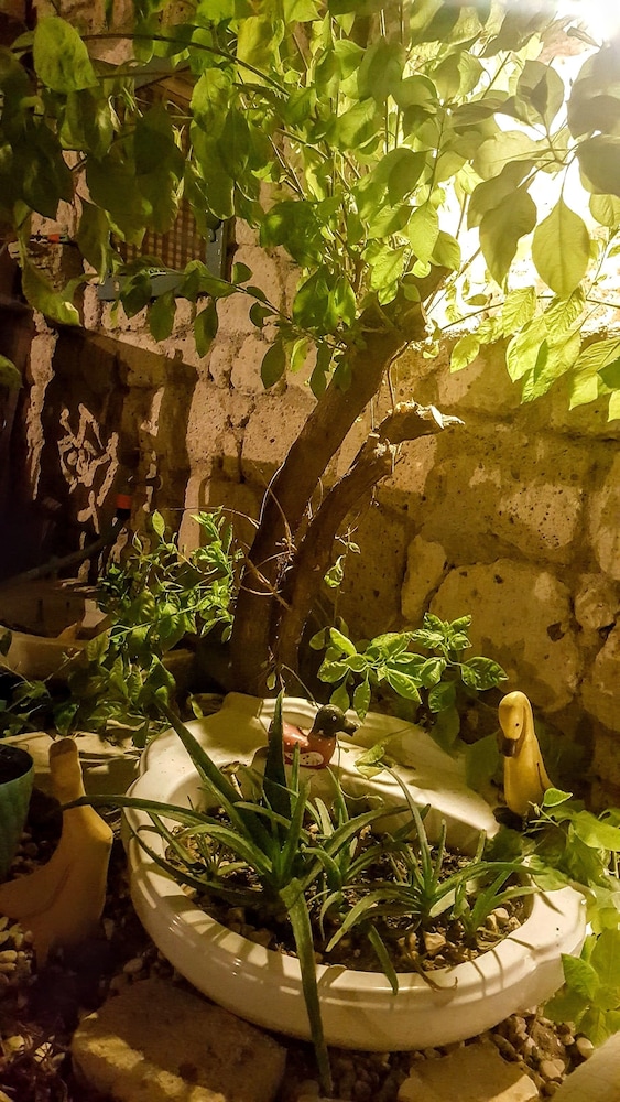 Lilyum Alaçatı Butik Otel - Image 47