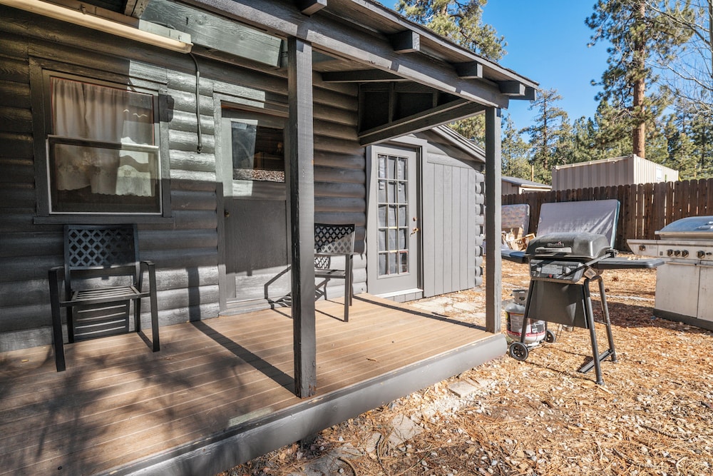 Forest Fir Cabin view 5