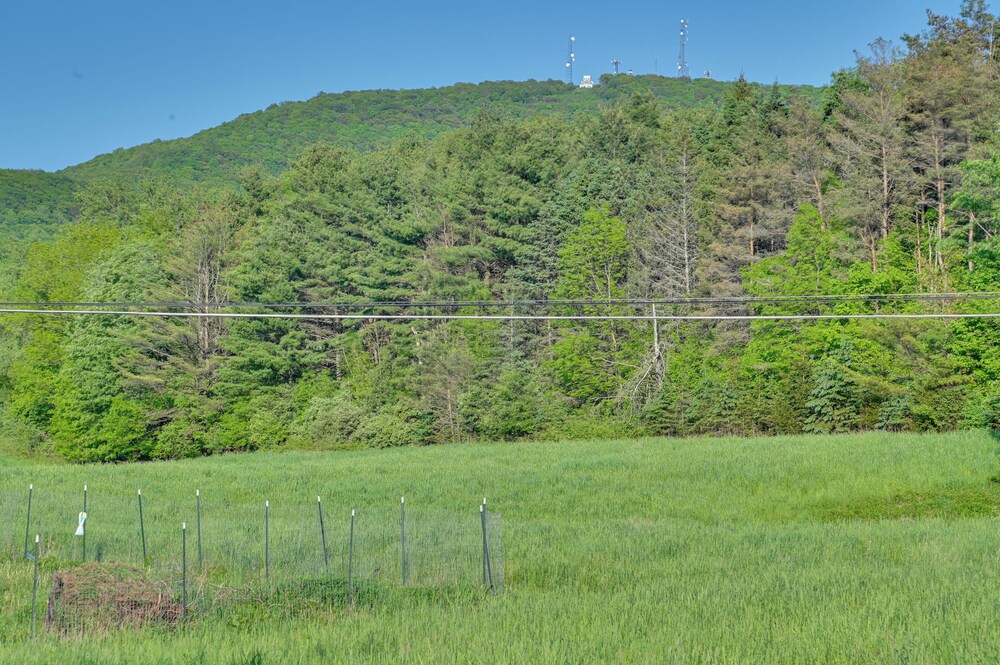 Cozy Catskills Studio Rental w/ Mountain Views!