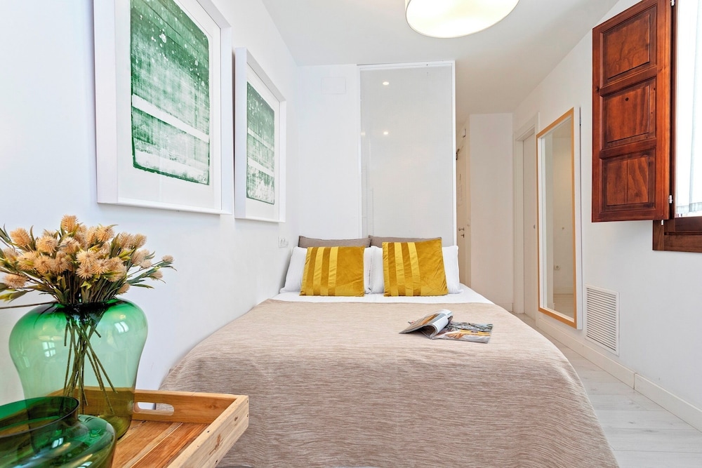 Charming One-bedroom Apartment Near the Cathedral Zacatin 302